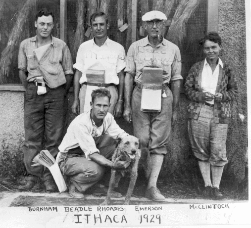 A picture of legendary maize researchers at Cornell University in 1929; in the foreground are George Beadle and his dog Toto, with the background composed of (l to r) Charles Burnham, Marcus Rhoades, Rollins Emerson, and Barbara McClintock